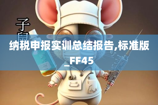 纳税申报实训总结报告,标准版_FF45