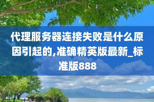 代理服务器连接失败是什么原因引起的,准确精英版最新_标准版888