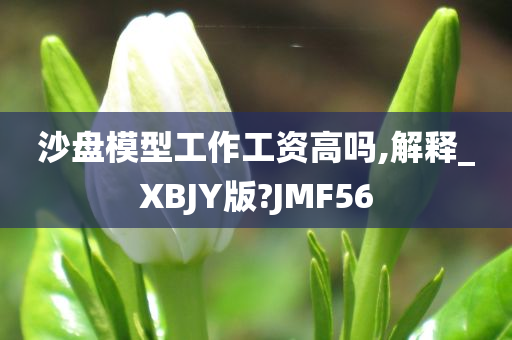 沙盘模型工作工资高吗,解释_XBJY版?JMF56