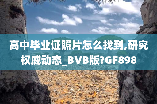 高中毕业证照片怎么找到,研究权威动态_BVB版?GF898