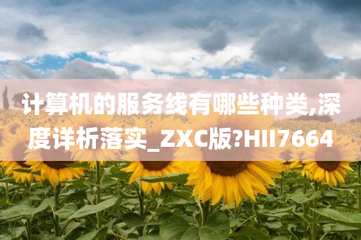 计算机的服务线有哪些种类,深度详析落实_ZXC版?HII7664