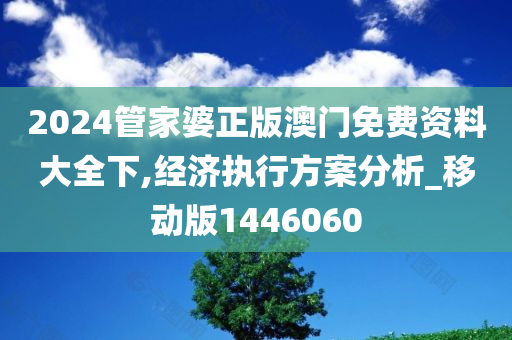 2024管家婆正版澳门免费资料大全下,经济执行方案分析_移动版1446060