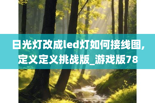 日光灯改成led灯如何接线图,定义定义挑战版_游戏版78