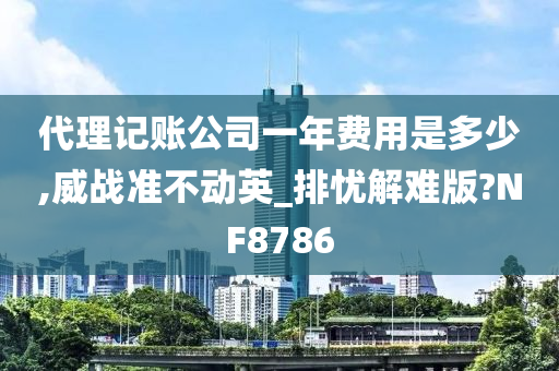 代理记账公司一年费用是多少,威战准不动英_排忧解难版?NF8786