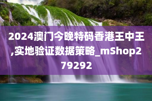 2024澳门今晚特码香港王中王,实地验证数据策略_mShop279292