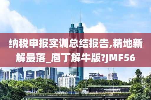 纳税申报实训总结报告,精地新解最落_庖丁解牛版?JMF56