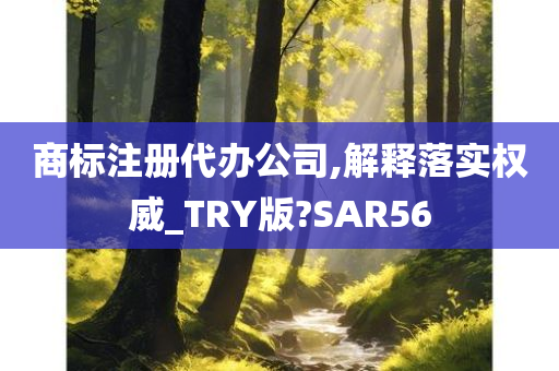 商标注册代办公司,解释落实权威_TRY版?SAR56