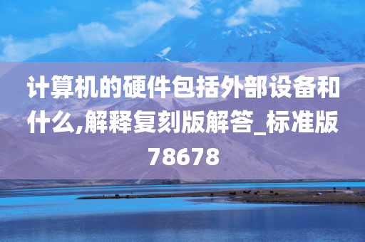 计算机的硬件包括外部设备和什么,解释复刻版解答_标准版78678