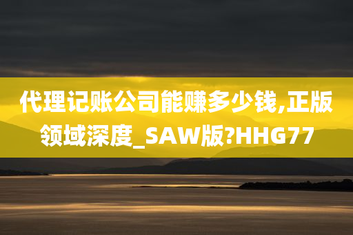 代理记账公司能赚多少钱,正版领域深度_SAW版?HHG77