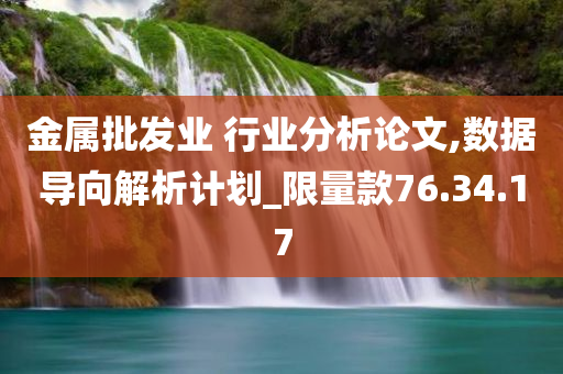 金属批发业 行业分析论文,数据导向解析计划_限量款76.34.17