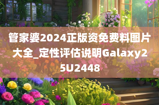 管家婆2024正版资免费料图片大全_定性评估说明Galaxy25U2448