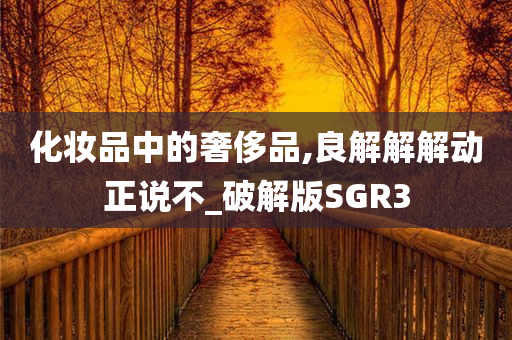 化妆品中的奢侈品,良解解解动正说不_破解版SGR3