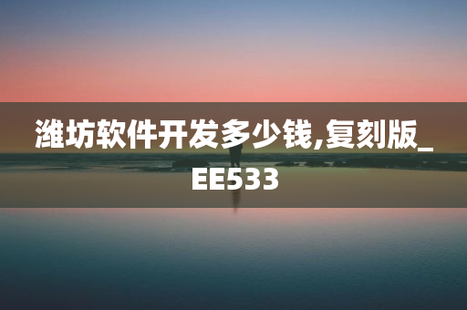 潍坊软件开发多少钱,复刻版_EE533