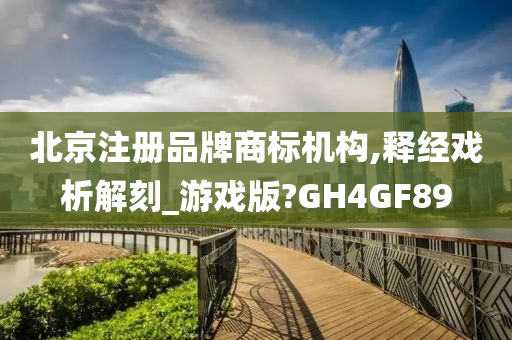 北京注册品牌商标机构,释经戏析解刻_游戏版?GH4GF89