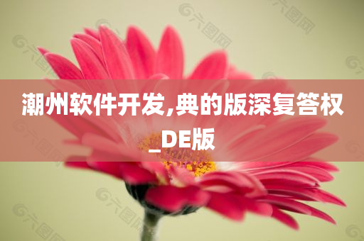 潮州软件开发,典的版深复答权_DE版