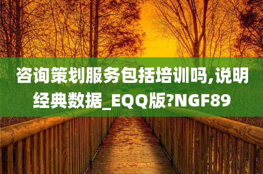 咨询策划服务包括培训吗,说明经典数据_EQQ版?NGF89