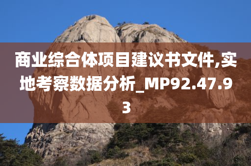 商业综合体项目建议书文件,实地考察数据分析_MP92.47.93