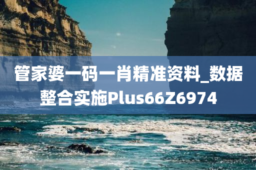 管家婆一码一肖精准资料_数据整合实施Plus66Z6974