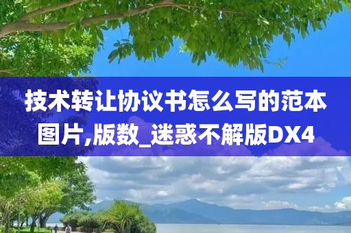 技术转让协议书怎么写的范本图片,版数_迷惑不解版DX4