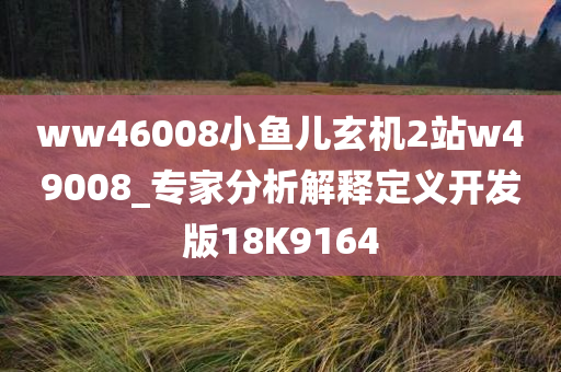 ww46008小鱼儿玄机2站w49008_专家分析解释定义开发版18K9164