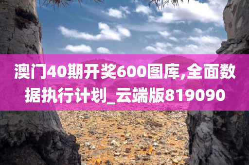 澳门40期开奖600图库,全面数据执行计划_云端版819090