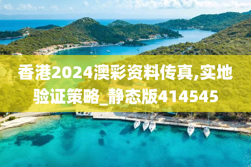 香港2024澳彩资料传真,实地验证策略_静态版414545