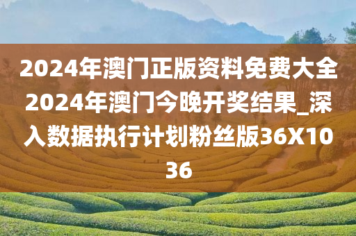 2024年澳门正版资料免费大全2024年澳门今晚开奖结果_深入数据执行计划粉丝版36X1036