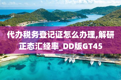 代办税务登记证怎么办理,解研正态汇经率_DD版GT45