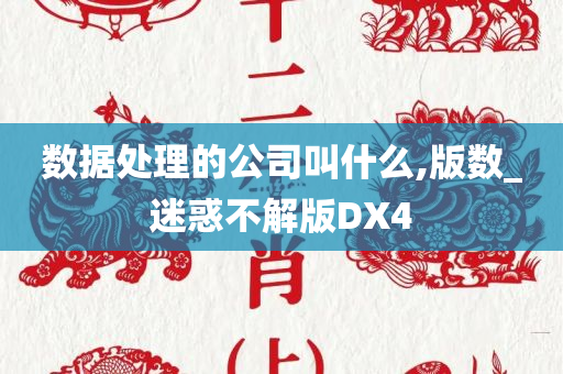 数据处理的公司叫什么,版数_迷惑不解版DX4