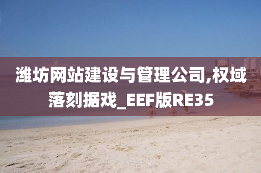 潍坊网站建设与管理公司,权域落刻据戏_EEF版RE35