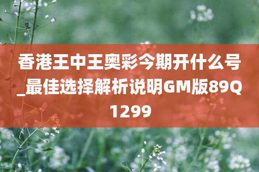 香港王中王奥彩今期开什么号_最佳选择解析说明GM版89Q1299