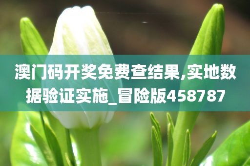 澳门码开奖免费查结果,实地数据验证实施_冒险版458787