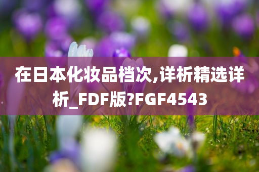 在日本化妆品档次,详析精选详析_FDF版?FGF4543