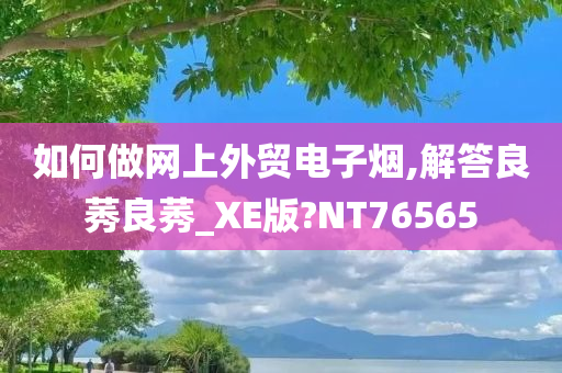 如何做网上外贸电子烟,解答良莠良莠_XE版?NT76565