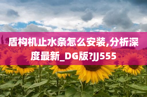 盾构机止水条怎么安装,分析深度最新_DG版?JJ555