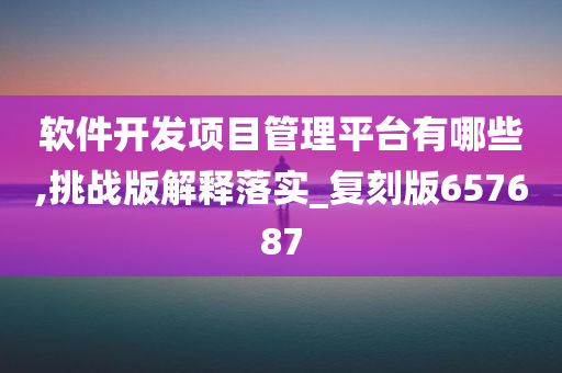 软件开发项目管理平台有哪些,挑战版解释落实_复刻版657687