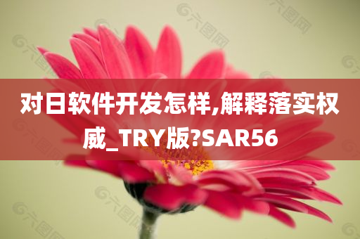 对日软件开发怎样,解释落实权威_TRY版?SAR56