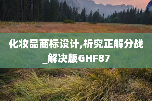 化妆品商标设计,析究正解分战_解决版GHF87