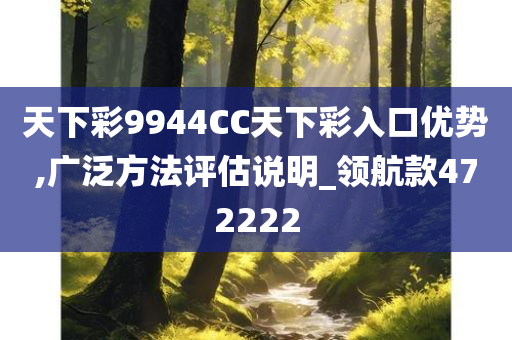 天下彩9944CC天下彩入口优势,广泛方法评估说明_领航款472222