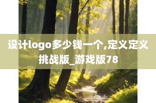 设计logo多少钱一个,定义定义挑战版_游戏版78