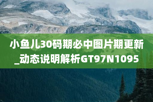 小鱼儿30码期必中图片期更新_动态说明解析GT97N1095