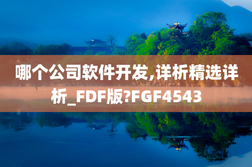 哪个公司软件开发,详析精选详析_FDF版?FGF4543