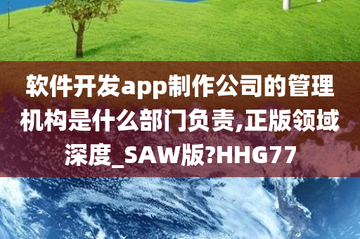 软件开发app制作公司的管理机构是什么部门负责,正版领域深度_SAW版?HHG77