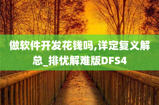 做软件开发花钱吗,详定复义解总_排忧解难版DFS4