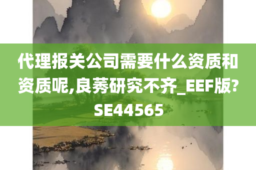 代理报关公司需要什么资质和资质呢,良莠研究不齐_EEF版?SE44565