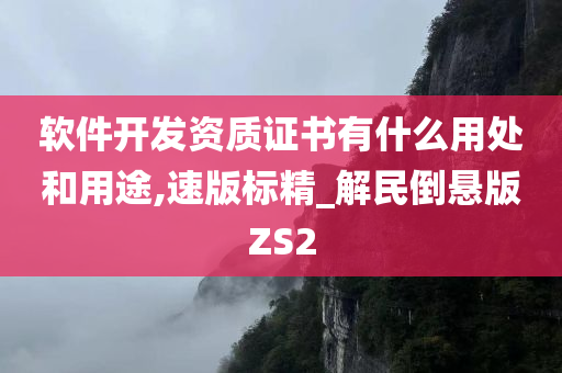 软件开发资质证书有什么用处和用途,速版标精_解民倒悬版ZS2