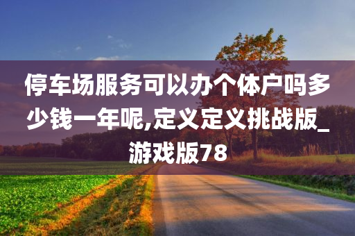 停车场服务可以办个体户吗多少钱一年呢,定义定义挑战版_游戏版78