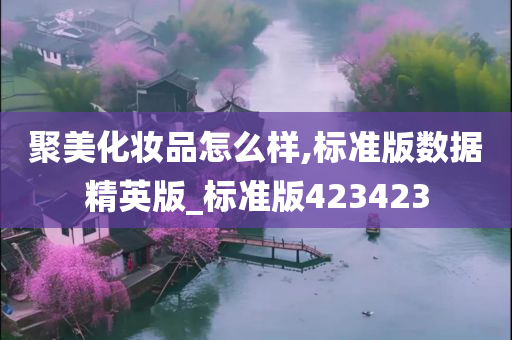 聚美化妆品怎么样,标准版数据精英版_标准版423423