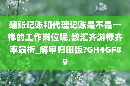 建账记账和代理记账是不是一样的工作岗位呢,数汇齐游标齐率最析_解甲归田版?GH4GF89