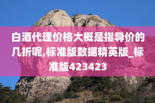 白酒代理价格大概是指导价的几折呢,标准版数据精英版_标准版423423